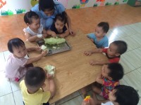 Các bé lớp C1 nghiên cứu cây bắp cải ❤️❤️