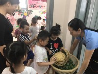 Hoạt động học trong ngày của các bạn lớp Mẫu giáo lớn