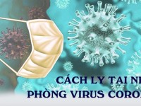 Những điều cần biết về virut Corona
