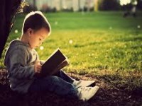 Hôm nay cô kể cho các con nghe câu chuyện : Cây Táo